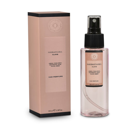 Car Spray - Clove 100ml